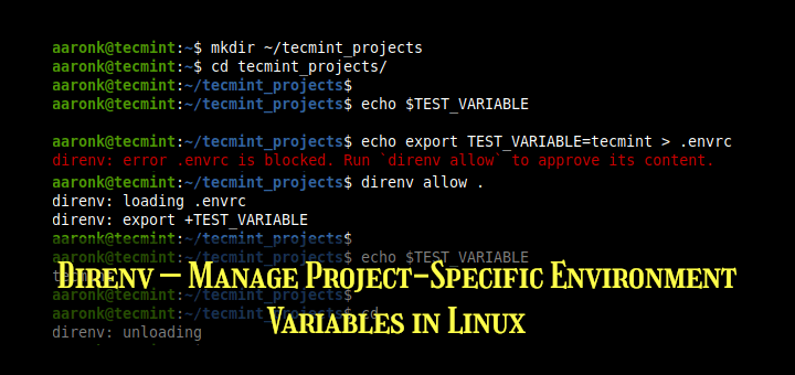 Which shells are supported by Direnv?